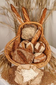 CORBEILLE DE PAINS TRADITIONNELS AU BLE DE BEAUCE, CHARTRES, EURE-ET-LOIR (28) 