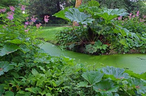 LE PRE CATELAN, JARDIN ROMANTIQUE, MEMOIRE DE L'OEUVRE DE MARCEL PROUST, ILLIERS-COMBRAY, EURE-ET-LOIR (28), FRANCE 