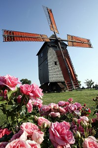 MOULIN A VENT DU BOIS DE FEUGERES, PRES D'UN MASSIF DE ROSES, BEAUCE, EURE-ET-LOIR (28), FRANCE 