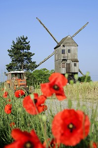 MOULIN A VENT PRES D'UN CHAMP DE COQUELICOTS, YMONVILLE, EURE-ET-LOIR (28), FRANCE 
