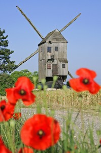MOULIN A VENT PRES D'UN CHAMP DE COQUELICOTS, YMONVILLE, EURE-ET-LOIR (28), FRANCE 