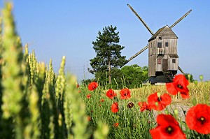 MOULIN A VENT PRES D'UN CHAMP DE COQUELICOTS, YMONVILLE, EURE-ET-LOIR (28), FRANCE 