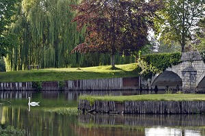 LES BORDS DE L'EURE DANS LE PARC DU GOLF DE NANTILLY, EURE-ET-LOIR (28), FRANCE 