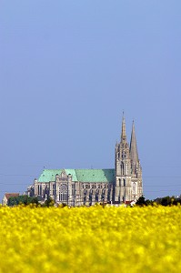 CATHEDRALE NOTRE-DAME DEVANT UN CHAMP DE COLZA, CHARTRES, EURE-ET-LOIR (28), FRANCE 