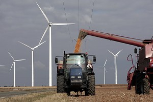 MOISSONNEUSE BATTEUSE POUR LA RECOLTE DU MAIS PRES D'UN CHAMPS D'EOLIENNES, PARC EOLIEN DE LA BEAUCE, ORGERES-EN-BEAUCE, EURE-ET-LOIR (28), FRANCE 
