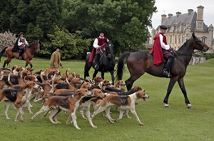 EQUIPAGE DE CHASSE A COURRE AVEC SA MEUTE DE CHIEN, CEREMONIE POUR LE RETOUR DE LA DEPOUILLE DE DIANE DE POITIERS A LA CHAPELLE SEPULCRALE DU CHATEAU D'ANET, 29 MAI 2010, EURE-ET-LOIR (28), FRANCE 