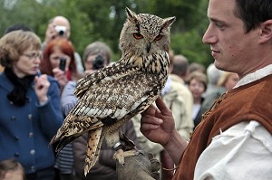 HIBOU GRAND DUC DU BENGALE, SPECTACLE DE FAUCONNERIE ET VOL DE RAPACES, CEREMONIE POUR LE RETOUR DE LA DEPOUILLE DE DIANE DE POITIERS A LA CHAPELLE SEPULCRALE DU CHATEAU D'ANET, 29 MAI 2010, EURE-ET-LOIR (28), FRANCE 