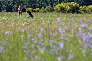 GOLF DU BOIS D'O, SAINT-MAXIME-HAUTERIVE, CHATEAUNEUF-EN-THYMERAIS, EURE-ET-LOIR (28), FRANCE 
