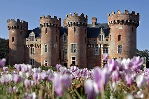 CYCLAMENS DEVANT LE CHATEAU DE VILLEBON, DERNIERE DEMEURE DU DUC DE SULLY MORT EN 1641, VILLEBON, EURE-ET-LOIR (28), FRANCE 