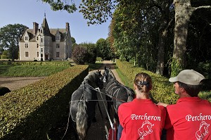 ATTELAGE DE PERCHERONS, DOMAINE DU MANOIR DU GRAND PRAINVILLE, SAINT-JEAN-PIERRE-FIXTE, EURE-ET-LOIR (28), FRANCE 