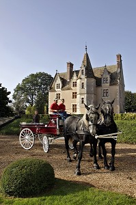 ATTELAGE DE PERCHERONS, DOMAINE DU MANOIR DU GRAND PRAINVILLE, SAINT-JEAN-PIERRE-FIXTE, EURE-ET-LOIR (28), FRANCE 