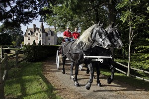ATTELAGE DE PERCHERONS SUR LE CHEMIN DU DOMAINE DU MANOIR DU GRAND PRAINVILLE, SAINT-JEAN-PIERRE-FIXTE, EURE-ET-LOIR (28), FRANCE 
