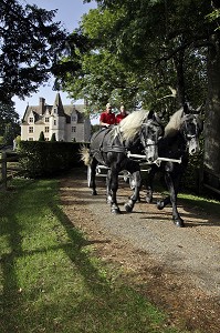 ATTELAGE DE PERCHERONS SUR LE CHEMIN DU DOMAINE DU MANOIR DU GRAND PRAINVILLE, SAINT-JEAN-PIERRE-FIXTE, EURE-ET-LOIR (28), FRANCE 