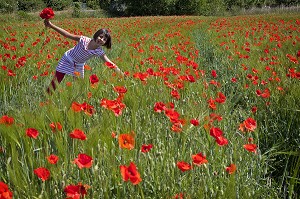 PETITE FILLE ET CUEILLETTE DE COQUELICOTS DANS UN CHAMPS DE BLE AU PRINTEMPS, VALLEE DE L'AVRE, SAINT-GERMAIN-SUR-AVRE, EURE-ET-LOIR (28), FRANCE 