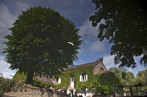 REFLET MIROIR DU LA RIVIERE EURE, MOULIN DE BLANVILLE, GITE RURAL, SAINT-LUPERCE, EURE-ET-LOIR (28), FRANCE 