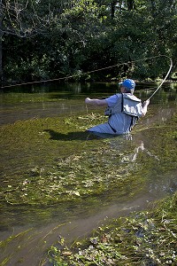 PECHE A LA MOUCHE SUR LA RIVIERE L'HUISNE, FRANCE 