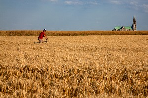 CYCLOTOURISTES DANS UN CHAMP DE BLE, PRES DE LA CATHEDRALE DE CHARTRES, EURE-ET-LOIR (28), FRANCE 
