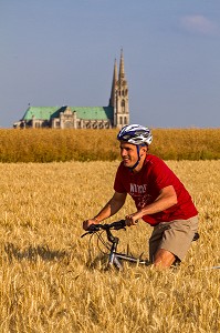 CYCLOTOURISTES DANS UN CHAMP DE BLE, PRES DE LA CATHEDRALE DE CHARTRES, EURE-ET-LOIR (28), FRANCE 