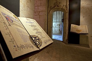 EXPOSITION, CHATEAU DE CHATEAUDUN, EURE-ET-LOIR, FRANCE 