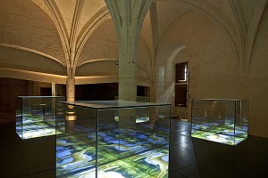EXPOSITION, CHATEAU DE CHATEAUDUN, EURE-ET-LOIR, FRANCE 