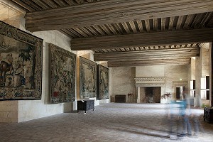 CHATEAU DE CHATEAUDUN, EURE-ET-LOIR, FRANCE 