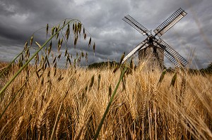 MOULIN A VENT EN PIERRE DE FROUVILLE-PENSIER (1826) DANS LES BLES, BEAUCE, OZOIR-LE-BREUIL, EURE-ET-LOIR (28), FRANCE 