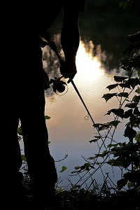 PECHE NO-KILL A L'AUBE, EURE-ET-LOIR, FRANCE 