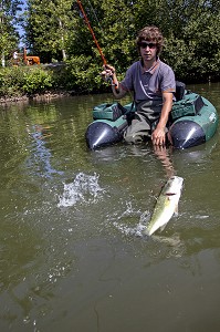 PECHEUR DE BLACK BASS SUR UN FLOAT TUBE, PECHE NO-KILL AVEC REMISE IMMEDIATE DES POISSONS DANS L'EAU, ETANG DE DOUY PRES DE CHATEAUDUN, EURE-ET-LOIR (28), FRANCE 