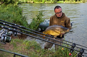 CARPE MIROIR DE 10 KILOGRAMMES, PECHE NO-KILL AVEC REMISE IMMEDIATE DES POISSONS DANS L'EAU, PLAN D’EAU DE MEZIERES-ECLUIZELLES, EURE-ET-LOIR (28), FRANCE 