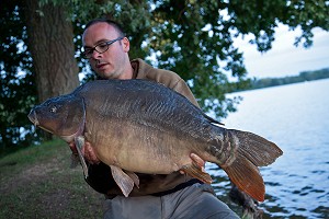 CARPE MIROIR, PECHE NO-KILL, MEZIERES-ECLUIZELLES, EURE-ET-LOIR, FRANCE 