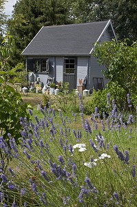'LE POULAILLER D'HOTE', CHAMBRE D'HOTES CAMPAGNARDE SUR LE THEME DE LA POULE DE 'CHEZ NOUS CAMPAGNE', ROHAIRE, EURE-ET-LOIR (28), FRANCE 