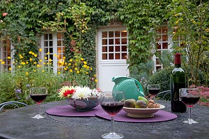 GITE RURAL DE CHARME, CHAMPAGNE, EURE-ET-LOIR, CENTRE, FRANCE 