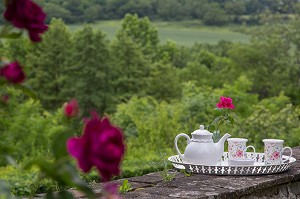 L'HEURE DU THE (THE TIME), CHAMBRE D'HOTES 'LA SABOTIERE', DAMPIERRE-SUR-AVRE, (28) EURE-ET-LOIR, FRANCE 