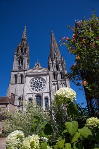 PARVIS FLEURI DEAVANT LA CATHEDRALE NOTRE-DAME, CHARTRES, EURE-ET-LOIR (28), FRANCE 