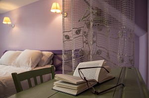 GITE RURAL 'GRAND GITE DES JONQUILLES', VILLIERS-SAINT-ORIEN, EURE-ET-LOIR (28), FRANCE 