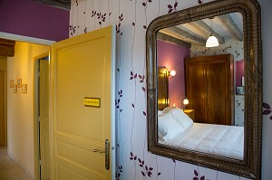 GITE RURAL 'GRAND GITE DES JONQUILLES', VILLIERS-SAINT-ORIEN, EURE-ET-LOIR (28), FRANCE 