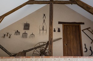 GITE RURAL 'GRAND GITE DES JONQUILLES', VILLIERS-SAINT-ORIEN, EURE-ET-LOIR (28), FRANCE 