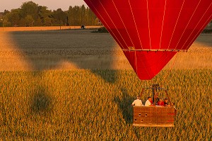 VOL EN MONTGOLFIERE AU DESSUS D'UN CHAMP DE MAIS, VALLEE DE L’EURE, EURE-ET-LOIR (28), FRANCE 
