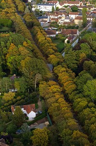 VUE AERIENNE DES ALLEES D'ARBRES MENANT AU CHATEAU, LA FERTE VIDAME, PERCHE, EURE-ET-LOIR (28), FRANCE 