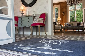 LA MAISON PARADIS, CHAMBRE D'HOTES, CHARTRES, EURE-ET-LOIR (28), FRANCE 