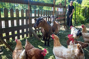 ANIMAUX DE LA FERME (POULES ET CHEVRES) AU CAMPING DU PERCHE, FONTAINE-SIMON, EURE-ET-LOIR (28), FRANCE 