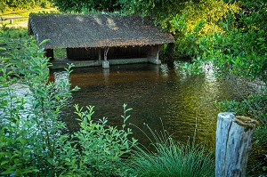 LAVOIR EN CHAUME SUR LA CONIE, RIVIERE SAUVAGE ALIMENTEE PAR LES EAUX DE SOURCE DE L'EXSURGENCE DE LA NAPPE PHREATIQUE DE BEAUCE, DONNEMAIN-SAINT-MAMES, EURE-ET-LOIR (28), FRANCE 