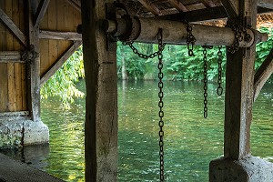 LAVOIR EN CHAUME SUR LA CONIE, RIVIERE SAUVAGE ALIMENTEE PAR LES EAUX DE SOURCE DE L'EXSURGENCE DE LA NAPPE PHREATIQUE DE BEAUCE, DONNEMAIN-SAINT-MAMES, EURE-ET-LOIR (28), FRANCE 