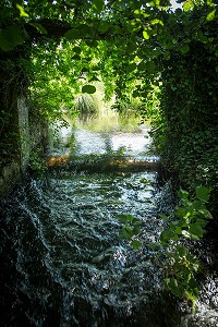 DEVERSOIR DE L'AIGRE, LA FERTE-VILLENEUIL, EURE-ET-LOIR (28), FRANCE 