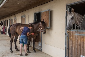 CHEVAUX DANS LEUR BOX, CENTRE EQUESTRE DES ECURIES DU VAL DE L'EURE, NOGENT-SUR-EURE, EURE-ET-LOIR (28), FRANCE 