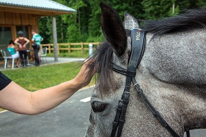 CAVALIER AVEC SON CHEVAL PRES DU GITE DE GROUPE DES ECURIES DU VAL DE L'EURE, NOGENT-SUR-EURE, EURE-ET-LOIR (28), FRANCE 