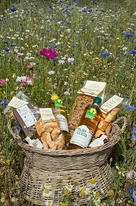 PRODUITS ALIMENTAIRES LABELLISES TERRES D'EURE-ET-LOIR FABRIQUES PAR PHILIPPE GOURCI, (HUILE DE COLZA ET DE TOURNESOL, PATES ALIMENTAIRES, SABLES, CROQUET AU MIEL...), SAINT-MAXIME-HAUTERIVE (28), FRANCE 