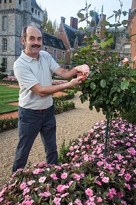 GILLES LOISEAU, RESPONSABLE DU SERVICE ESPACES VERTS DU CONSEIL GENERAL, DANS LE JARDIN LE NOTRE DU CHATEAU DE MAINTENON, EURE-ET-LOIR (28), FRANCE 