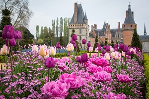 LES TULIPES DU PRINTEMPS, JARDINS A LA FRANCAISE REALISES EN 2013 SUIVANT LES PLANS D'EPOQUE D'ANDRE LE NOTRE COMMANDE PAR LOUIS XIV POUR FRANCOISE D'AUBIGNE, CHATEAU DE MAINTENON, EURE-ET-LOIR (28), FRANCE 