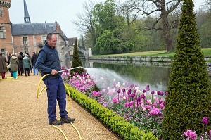 JARDINIER, ARROSAGE DES TULIPES DU PRINTEMPS, JARDINS A LA FRANCAISE REALISES EN 2013 SUIVANT LES PLANS D'EPOQUE D'ANDRE LE NOTRE COMMANDE PAR LOUIS XIV POUR FRANCOISE D'AUBIGNE, CHATEAU DE MAINTENON, EURE-ET-LOIR (28), FRANCE 